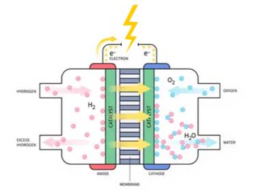 hydrogen fuel cells, PEM fuel cell, proton exchange membrane, energy efficiency, power density, hydrogen quality, hydrogen purity, fuel cell efficiency, voltage output, current density, response time, startup time, load response, hydrogen pressure, fuel storage, liquid hydrogen, composite cylinders, operating temperature, humidity, altitude, durability, lifetime, degradation rate, cycling, physical dimensions, weight, safety features, leak detection, thermal management, overpressure protection, electrical safety, standards compliance, ISO 22734, ISO 14687, IEC 62282, maintenance, service intervals, environmental impact, zero emissions, water vapor, green energy, sustainable energy